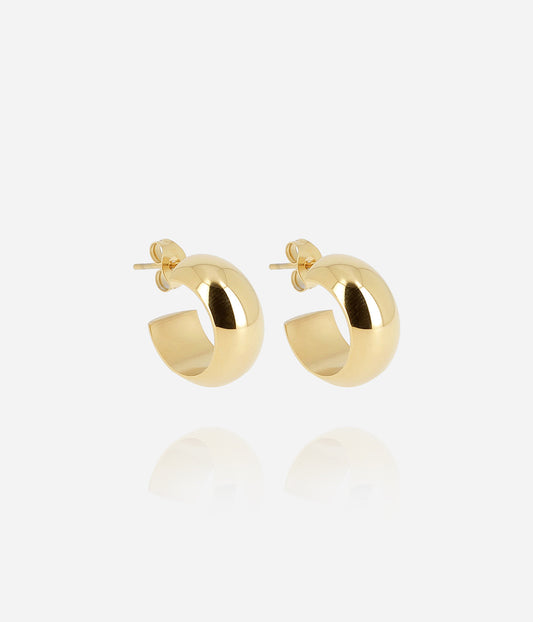 Boucles d'oreilles Velorum (Acier doré)
