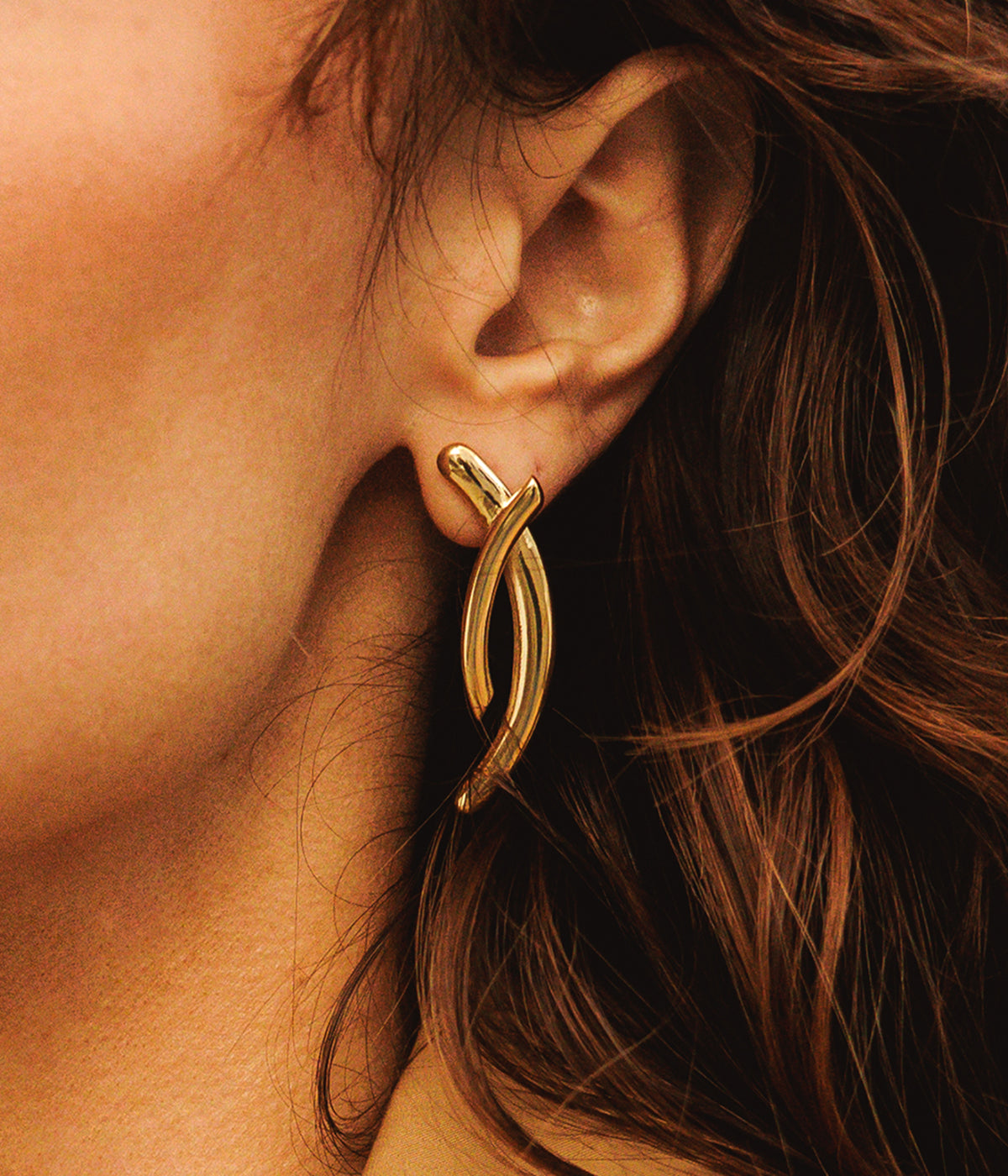 Boucles d'oreilles Apion (Acier)