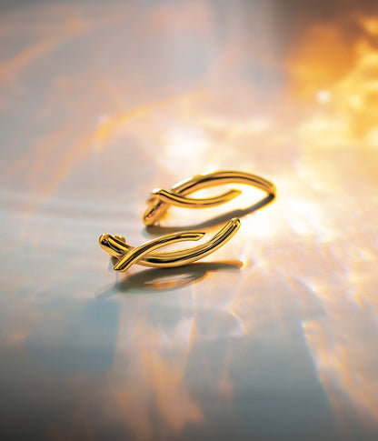 Boucles d'oreilles Apion (Acier doré)
