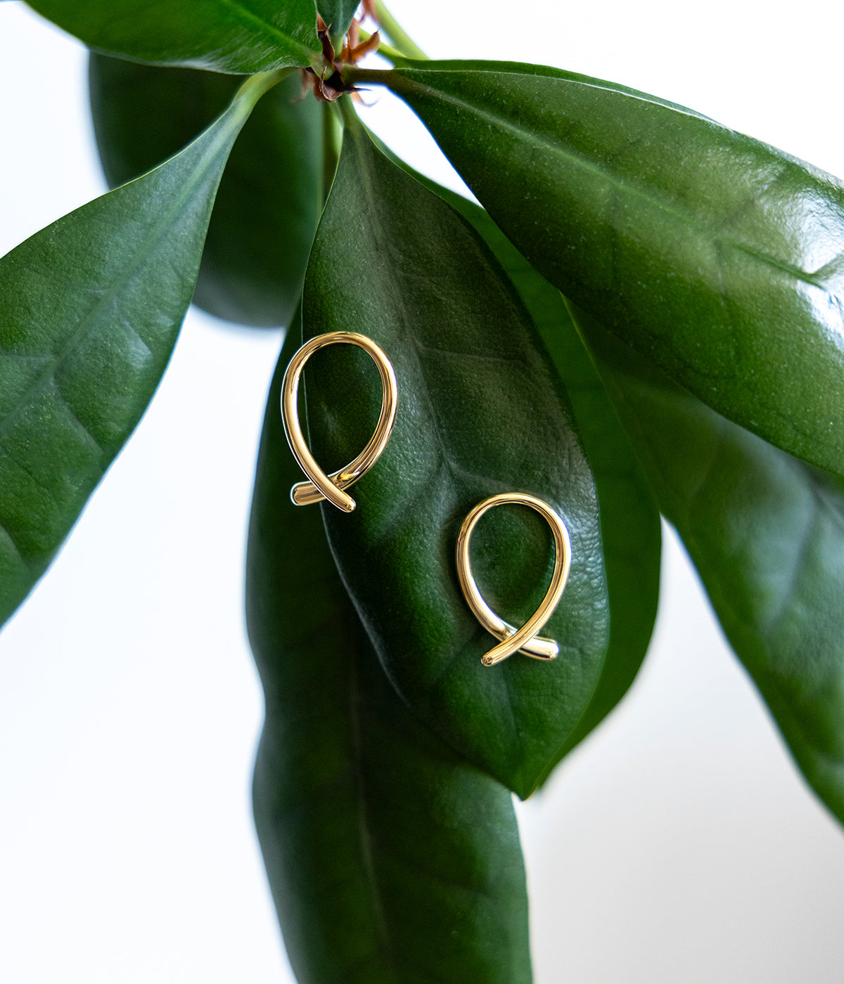 Boucles d'oreilles Coquette (Acier doré)